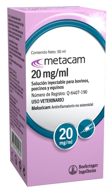 Image result for How to Create Algorithm On Metacam V7