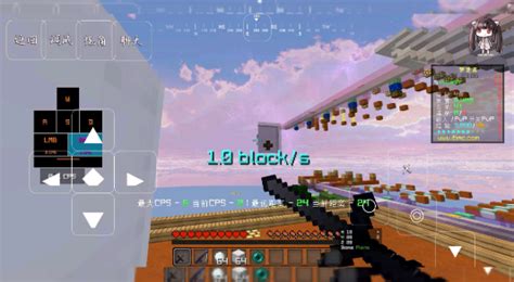 McPVP Java 的图像结果