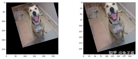 variable3s Transcode 的图像结果