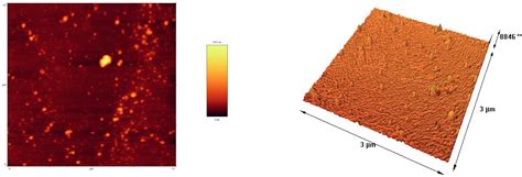 Pickering Emulsion Stabilized by Different Concentrations of Whey ...