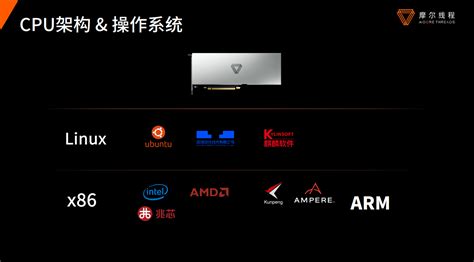 MTS2000 的图像结果