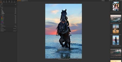 Image result for Photo Sorting Software