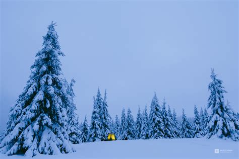 Adventure Landscape 的图像结果