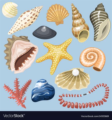 Image result for Marine Shells