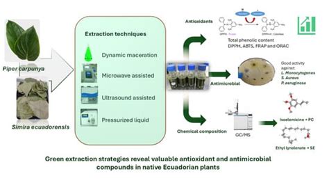 Chemical Composition, Antioxidant and Antimicrobial Activity of Piper ...