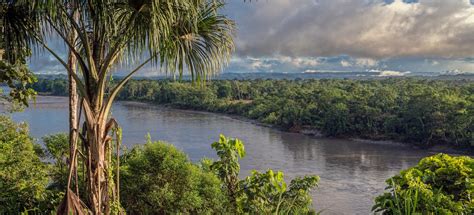 Image result for Zero Waste Japan