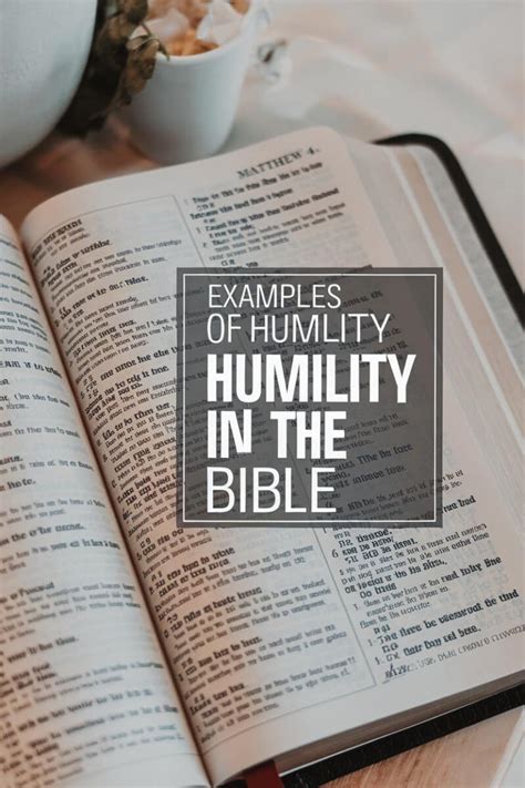 Image result for Examples of Humility