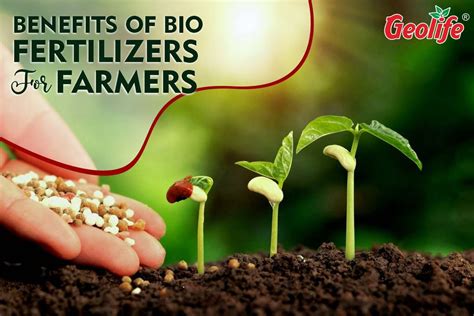 Benefits Of Bio Fertilizers For Farmers – Geolife Shop