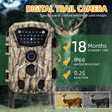 Camera Traps 的图像结果