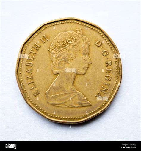 Still life of the front of a 1988 Canadian one dollar coin, also known ...