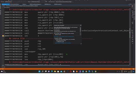 Debug .Net Core in Visual Studio 的图像结果