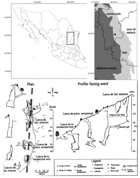 San Josecito Cave and Its Paleoecological Contributions for Quaternary ...