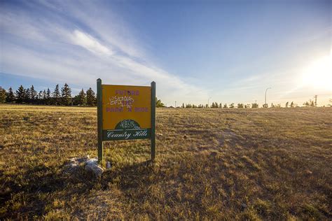 Image result for Calgary LRT