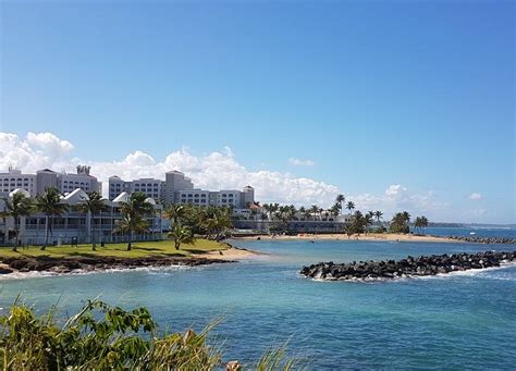 THE 30 BEST Places to Visit in Dorado (2026) - Must-See Attractions