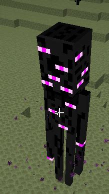 Image result for Minecraft End Dimension Mod