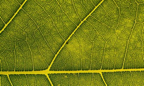 Image result for Ce Hub Logo