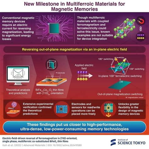 Multiferroics 的图像结果