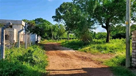 Plots viewing, Diani Beach Ukunda, Mombasa, 1 August 2025 | AllEvents