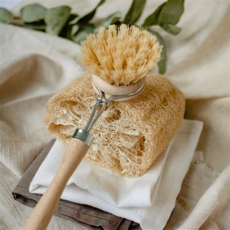 Exploding Bacne 的图像结果