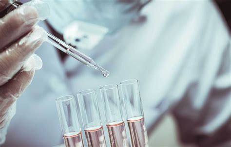 Primer Design Step by Step 的图像结果