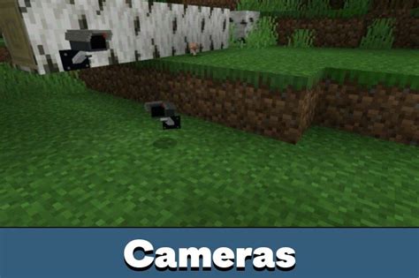 Image result for Minecraft Camera Mod