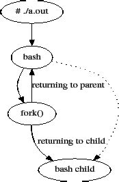 Image result for Linux Process Fork Example