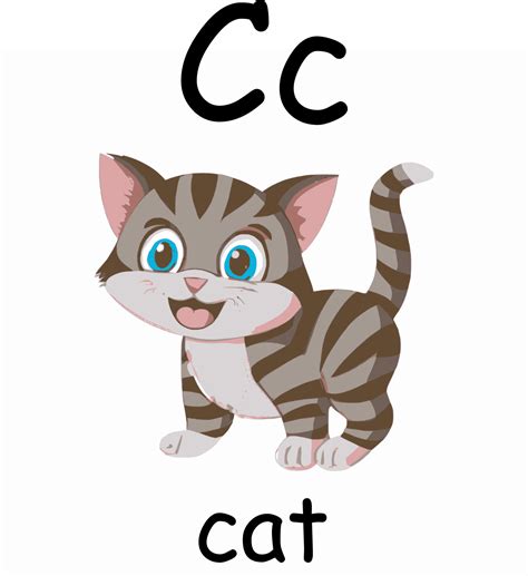 letra C me gusta un gato de Inglés alfabeto, Inglés enseñando 24630641 Vector en Vecteezy