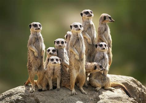 Image result for Practice Work for Students Using CSS