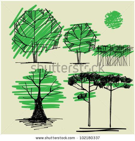 VOO vs. VTI: Which ETF Is a Better Investment? - India Dictionary