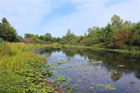 池塘“鱼-水生植物”生态循环技术-搜狐大视野-搜狐新闻