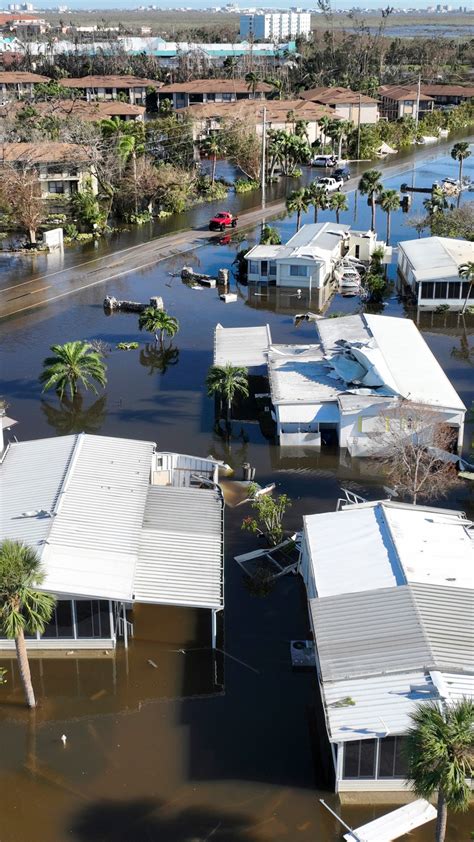 Image result for Python Elimination Program