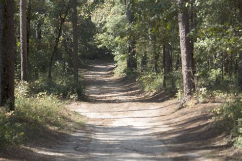 Hitchcock Woods, Aiken, SC