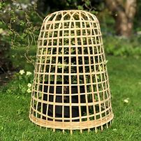 Image result for Vege Cloches