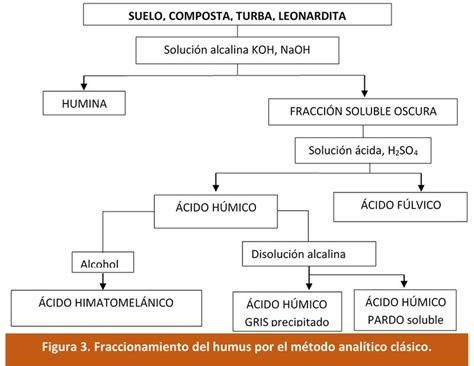 SUSTANCIAS HÚMICAS: TODO LO QUE DEBES SABER PARA SU USO EN LA ...