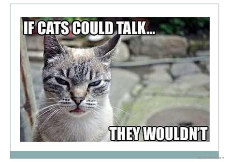 Image result for Second Conditional