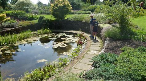 THE WHITE HOUSE (Bressingham) - Inn Reviews & Photos - Tripadvisor