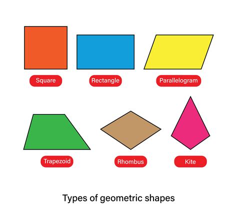 Types of geometric shapes quadrilateral shapes names vector ...