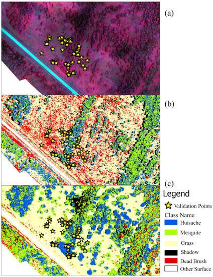 Identification of Brush Species and Herbicide Effect Assessment in ...