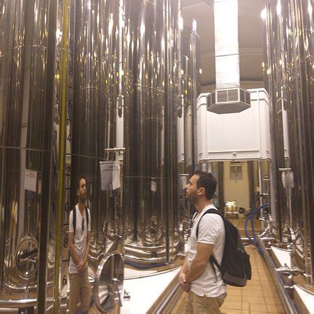 Oleoturismo Aceites Oro Bailen (Jaen) - 2022 What to Know Before You Go ...