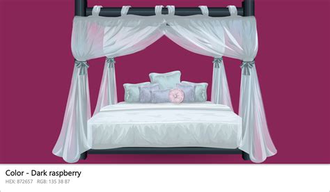 About Dark Raspberry - Color meaning, codes, similar colors and paints ...