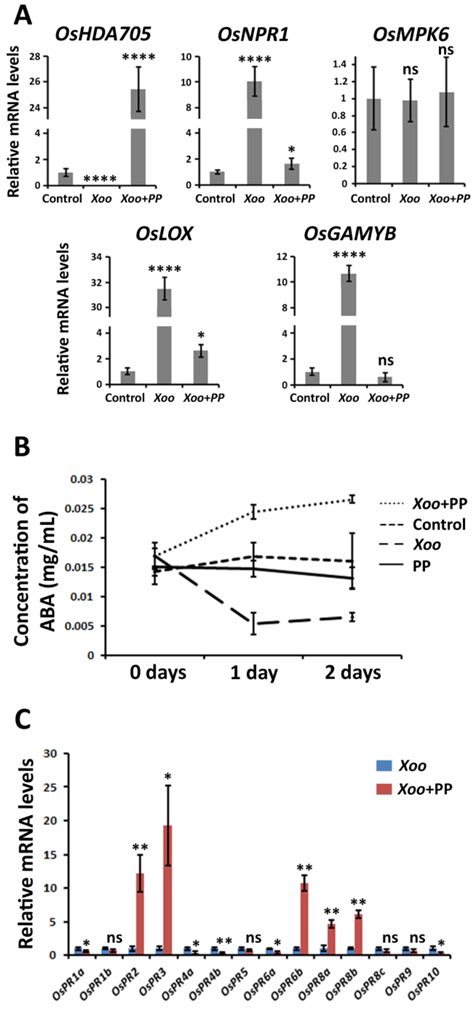 Pseudomonas putida Represses JA- and SA-Mediated Defense Pathways in ...