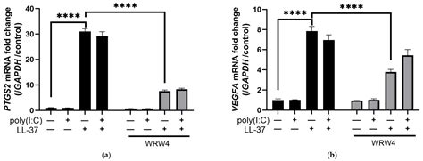 The Antimicrobial Peptide Cathelicidin Exerts Immunomodulatory Effects ...