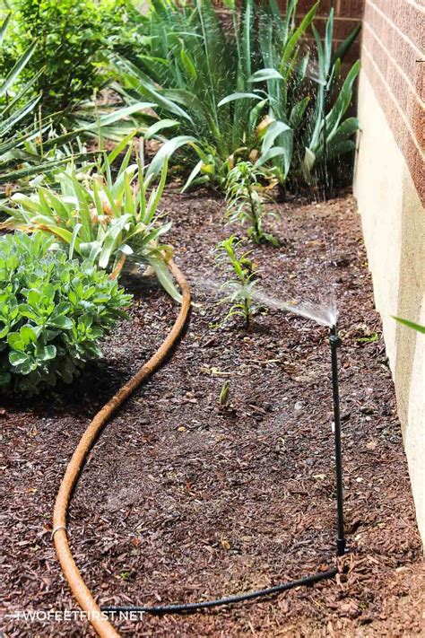 Diy Irrigation System Installation Steps To Install Drip Irrigation By