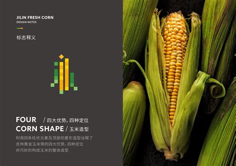 吉林鲜食玉米品牌logo征集稿|平面|品牌|badleonb7 - 原创作品 - 站酷 (ZCOOL)