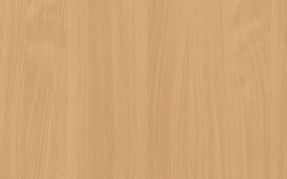 Buy Baverian Beech - 695 - - at low price - Greenlam Laminates Dealer ...