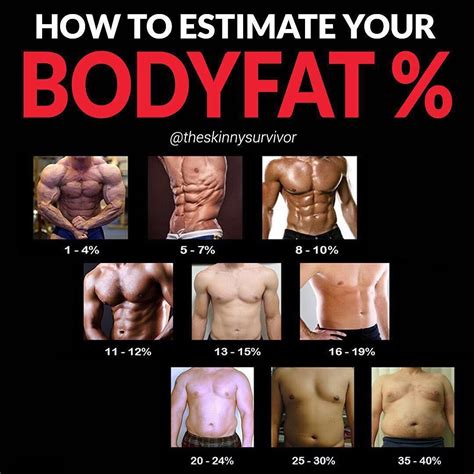 Body Fat Percentage Body Types at Ava Ewers blog