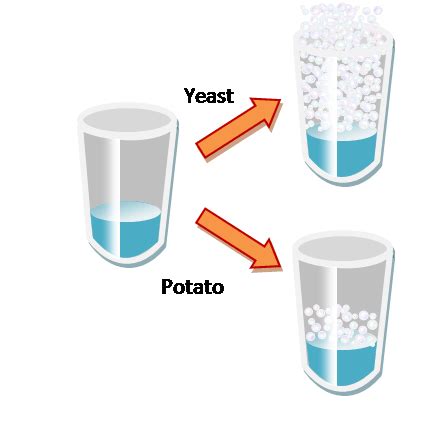 H2O2 Mechanism 的图像结果