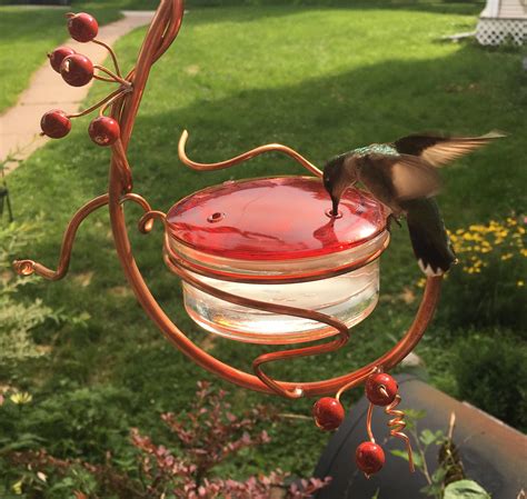 Copper And Glass Hummingbird Feeder at Diane Rearick blog