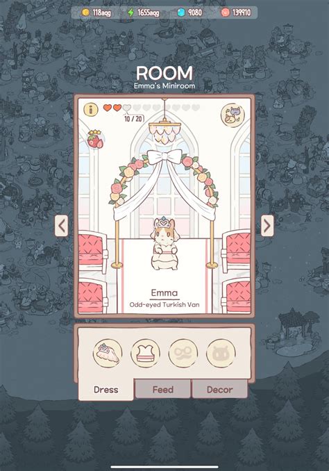 Image result for Picutre of Bride Stuff