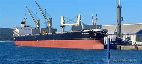 SSI AVENGER, Bulk Carrier - Details and current position - IMO 9284544 ...